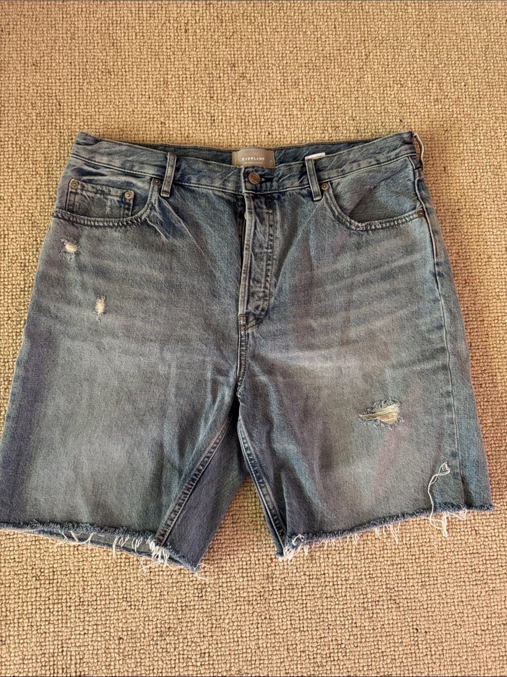 Everlane distressed The Cheeky Long Short